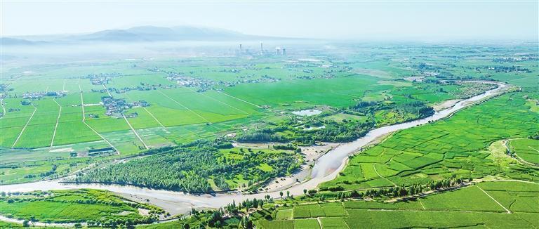 美丽的黑河湿地 新甘肃·甘肃日报通讯员 桂政全