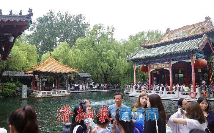 一年四季 泉在济南｜雨润泉城 趵突泉喷涌欢畅“水涌若轮”