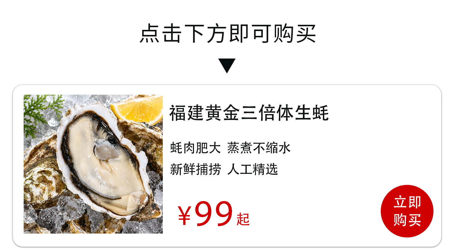 一年吃掉 10 万吨，为什么「霞浦生蚝」被争相报谈！！
