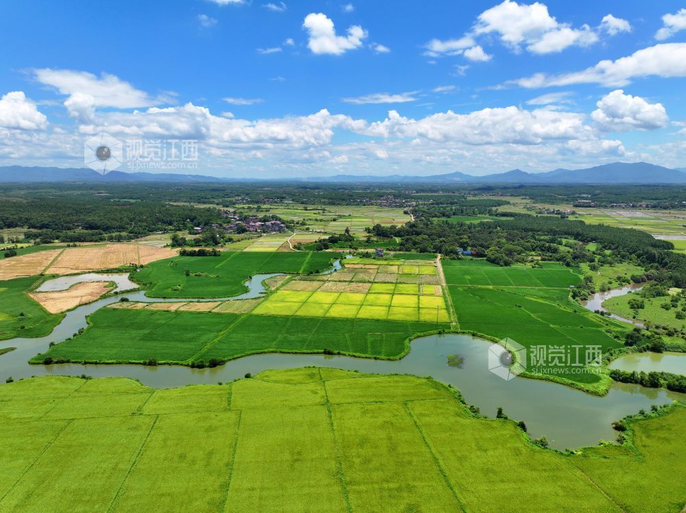 2026年7月14日,江西省吉安市泰和县万合镇竹山村田园,渠水充盈保障夏灌。