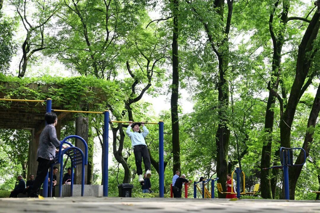 春台公园，市民在此健身纳凉，悠然自得。