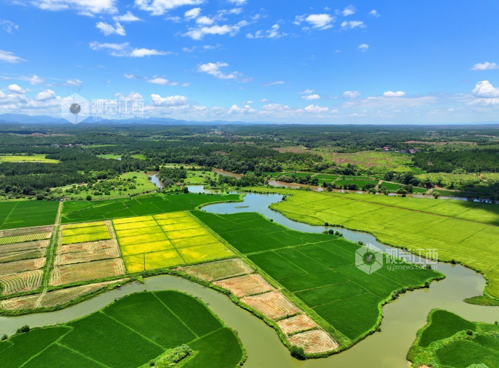 2026年7月14日,江西省吉安市泰和县万合镇竹山村田园,渠水充盈保障夏灌。