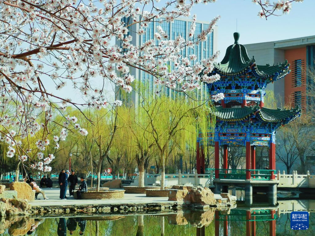 这是2025年4月16日拍摄的人民文化广场一角 新华社发(王永松 摄)