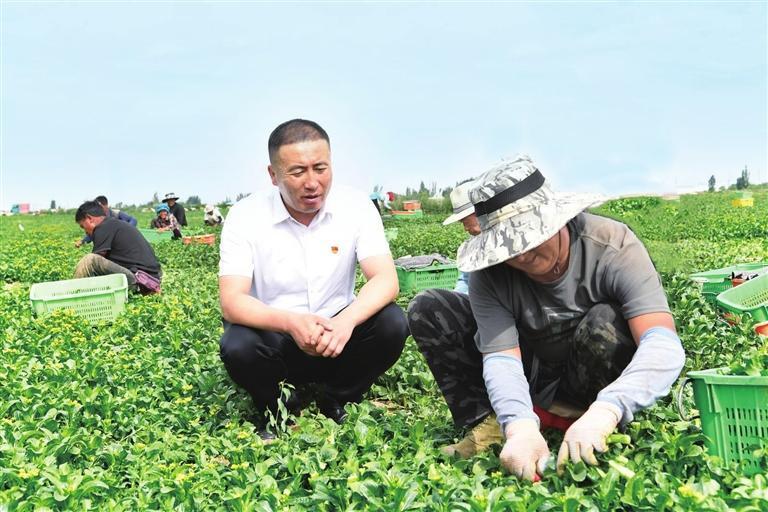 甘建廷（左一）了解蔬菜种植情况　兰州新区报记者　李佳丽　摄
