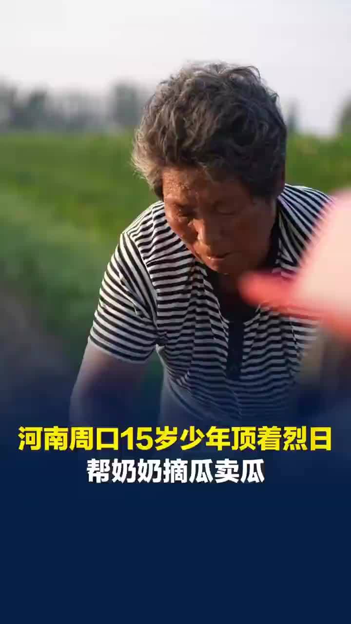 15岁少年顶着烈日帮奶奶摘瓜卖瓜