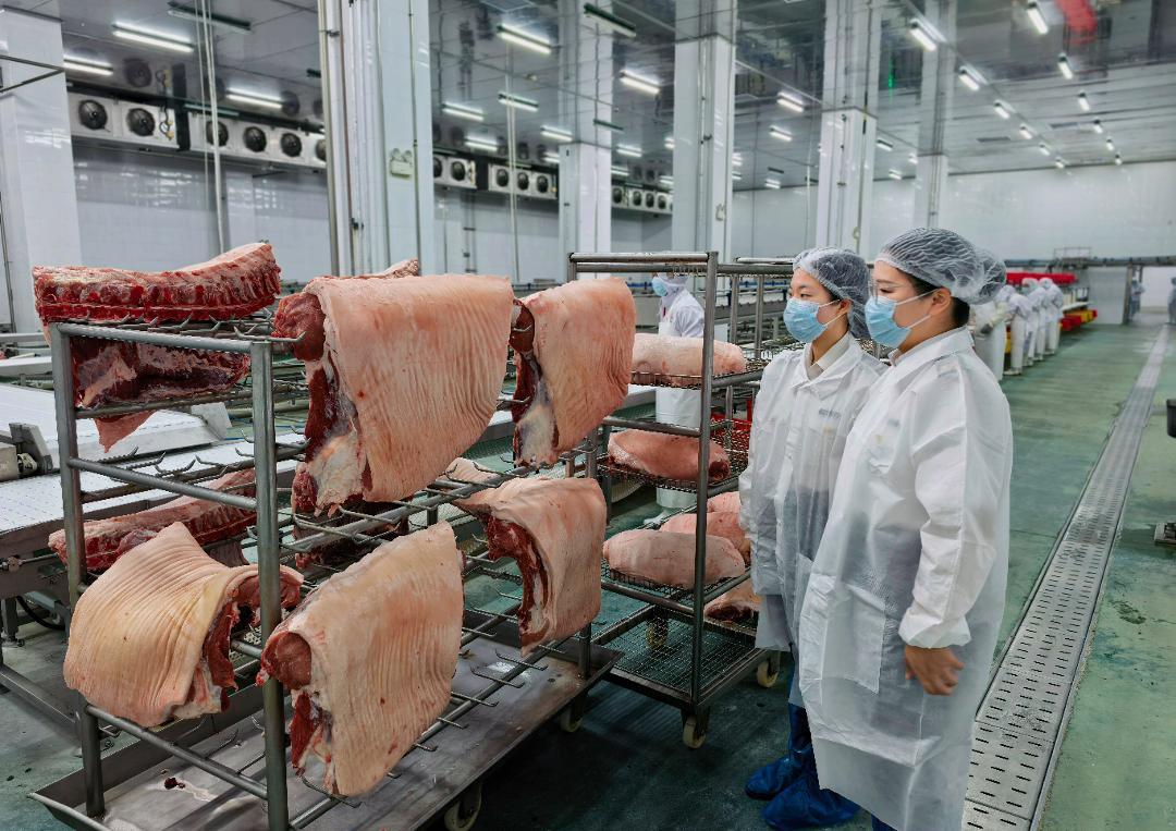 海关关员对出口冷冻猪肉产品开展现场查验。摄影/钟沛