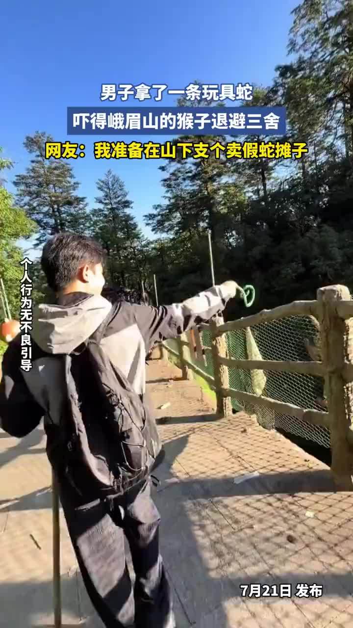 游客拿假蛇防峨眉山猴子效果显著