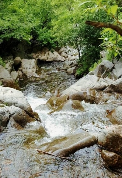 古坡河