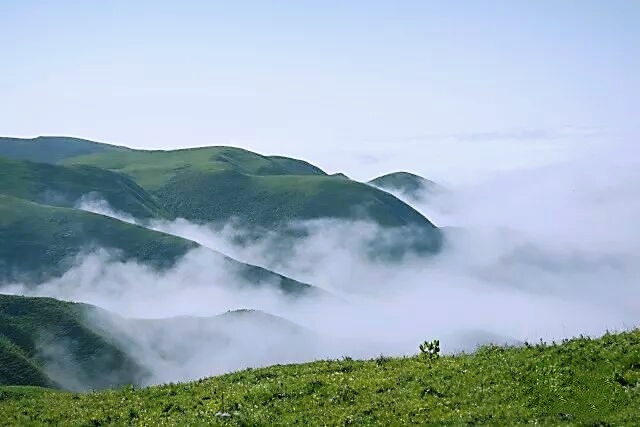 草原晨雾