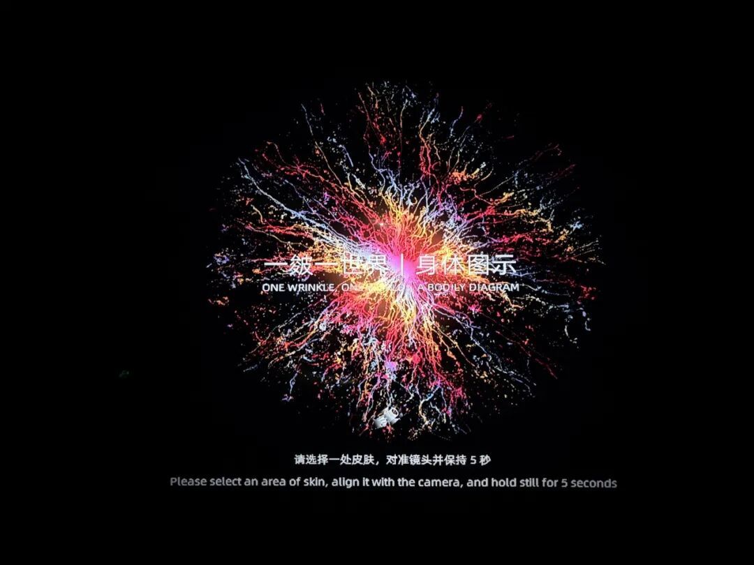 彭嘉、胡哲、孙怡宁、张舒南,《一皴一世界|身体图示》,2026,湖南大学