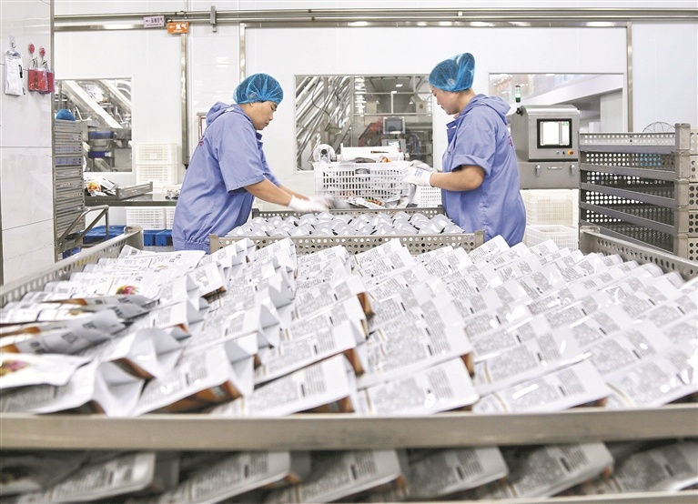 青龙满族自治县一家板栗加工企业工人在生产线上作业。秦皇岛日报记者 李铎 见习记者 刘剑 摄