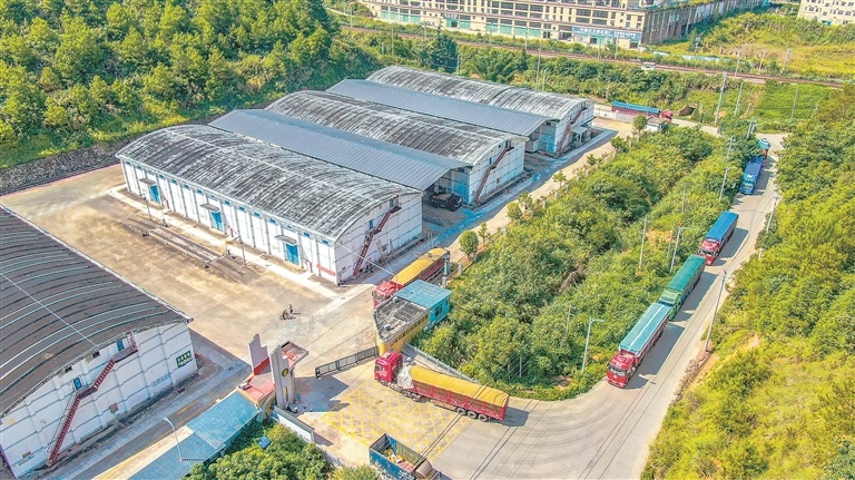 定南县：夏粮收购（图）