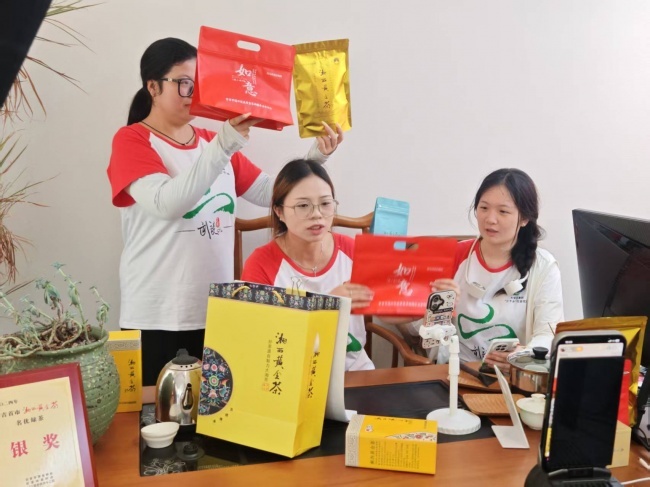 图为队员开展黄金茶直播展示,实地探索乡村电商助农的新路径。朱亚静 供图