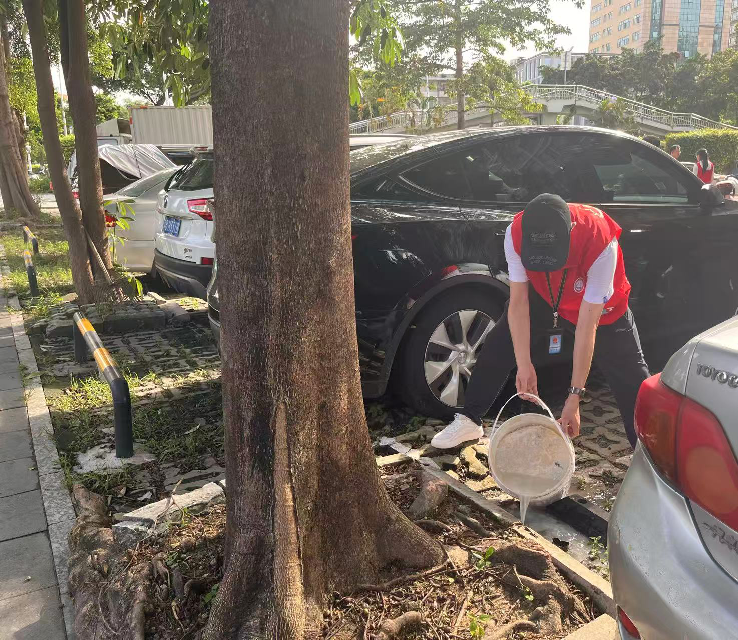 清积水灭蚊虫,共筑健康家园——西乡街道河西社区持续开展爱国卫生暨统一灭蚊行动