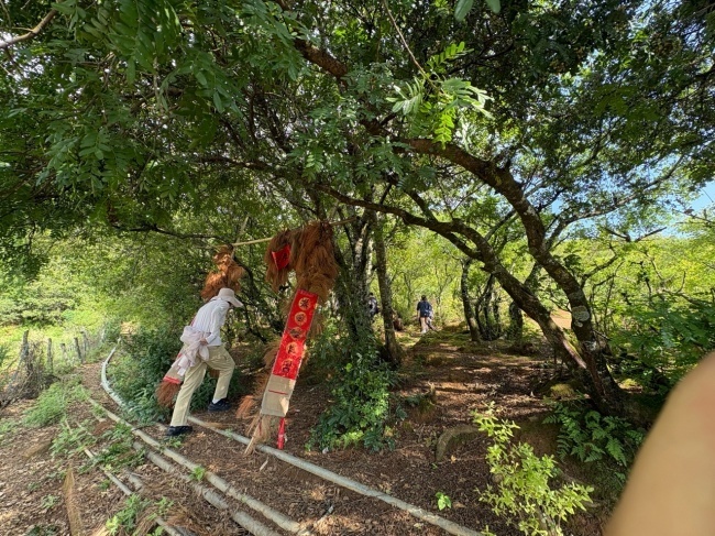 智塑未来, 山林里的医药：纳西东巴文化中的生命智慧