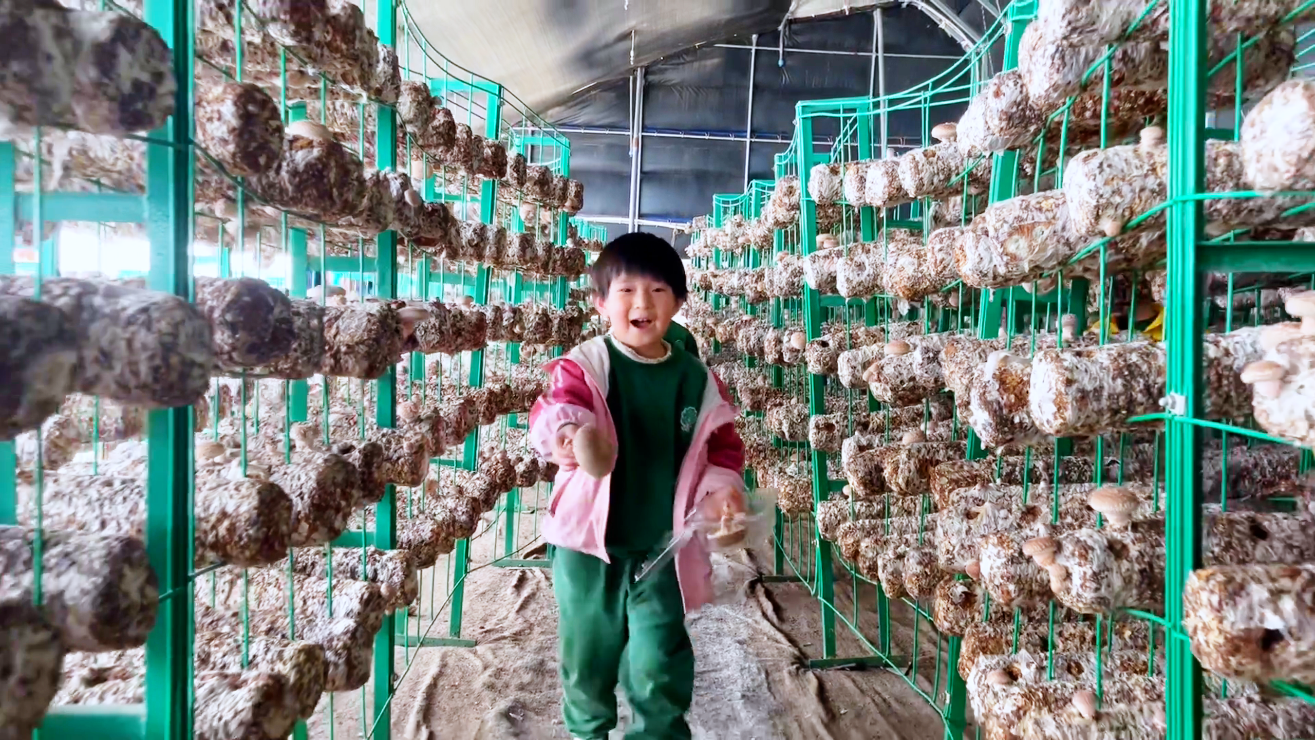 学生参观全自动菌棒生产线