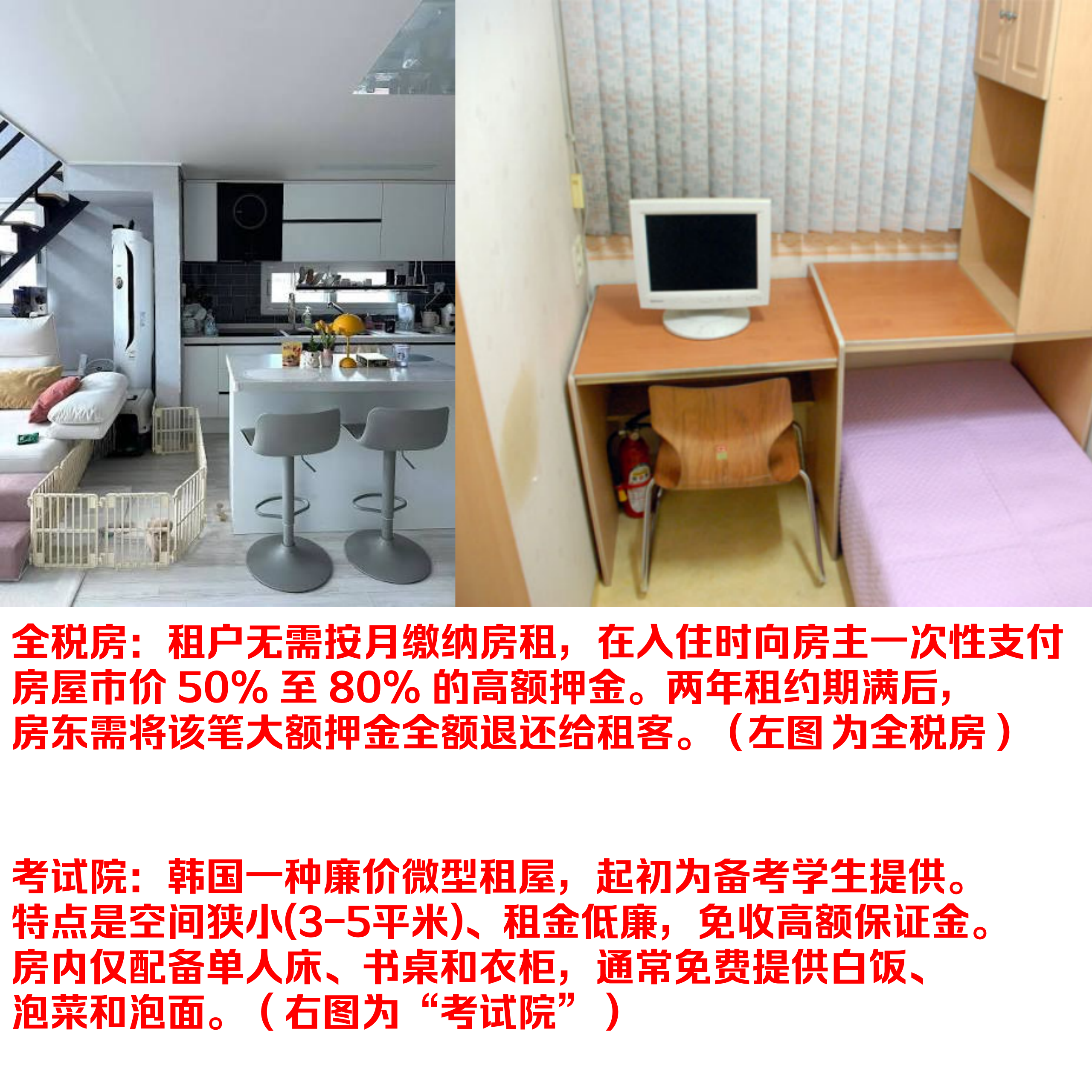 图源：韩国租赁网站