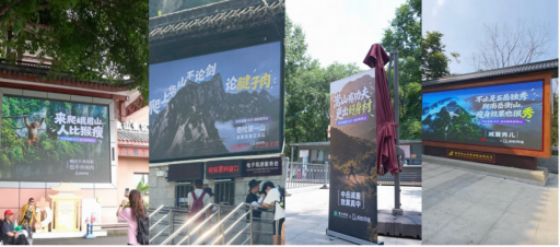 山东刮起“减脂”风暴(图3)