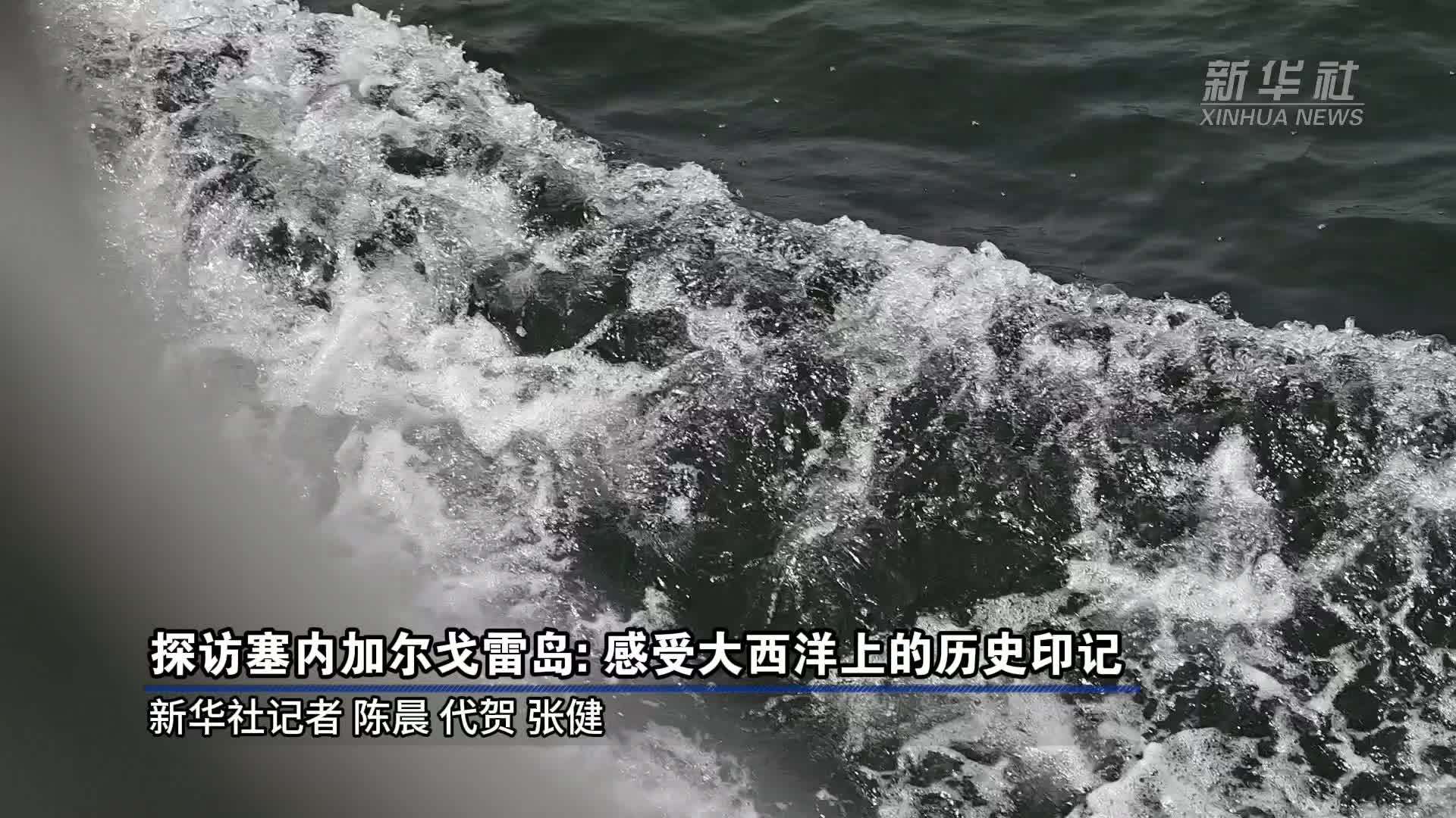 探访塞内加尔戈雷岛：感受大西洋上的历史印记