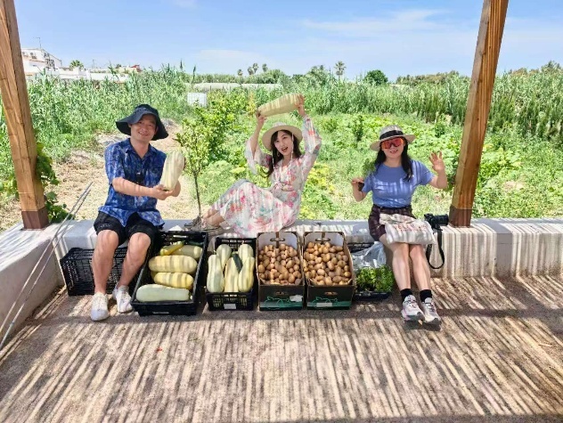 西班牙世界杯夺冠背后：这粒金球，让全世界再次认识瓦伦西亚