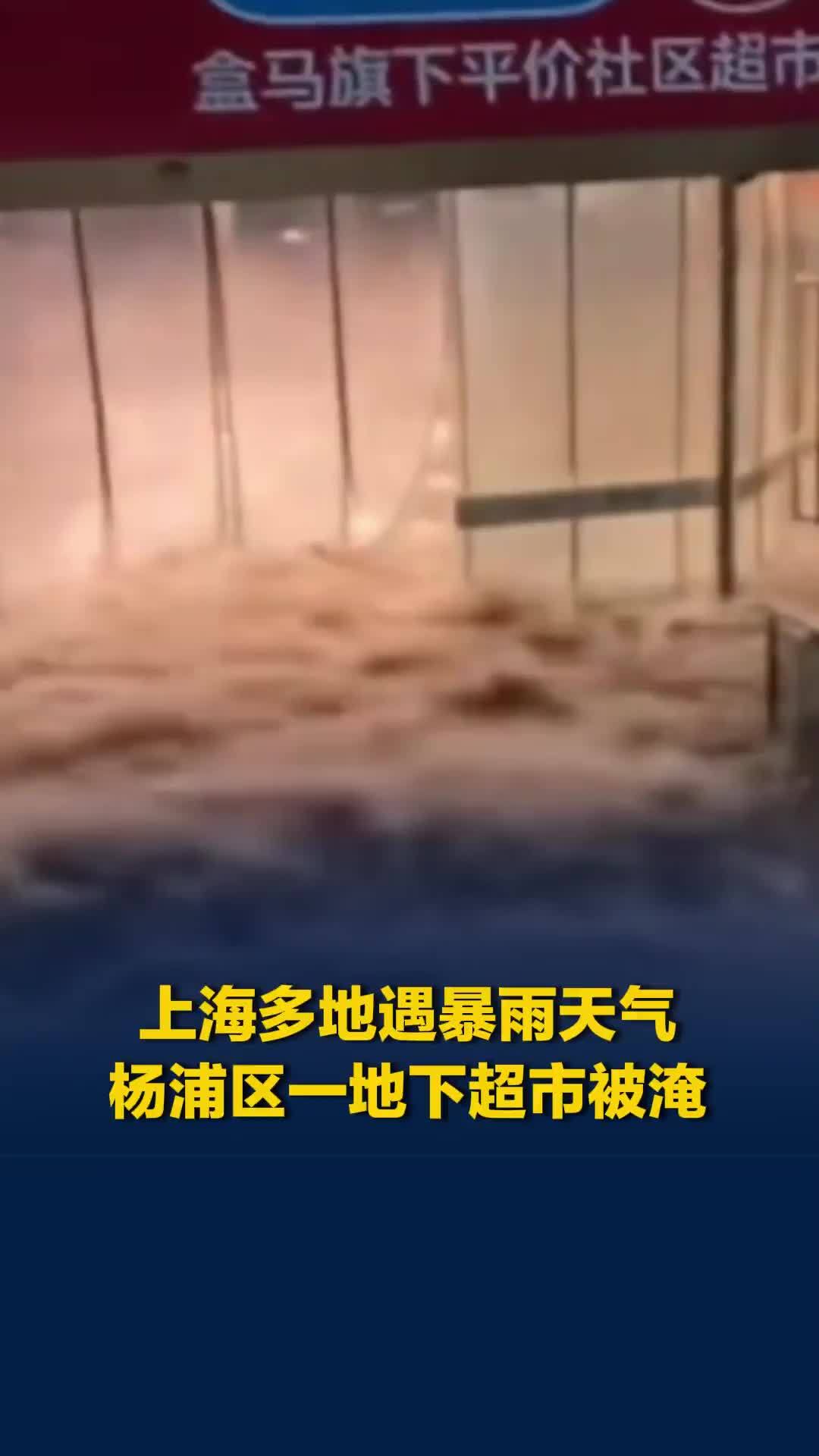 马路秒变河道！上海多地遇暴雨天气，杨浦区一地下超市被淹