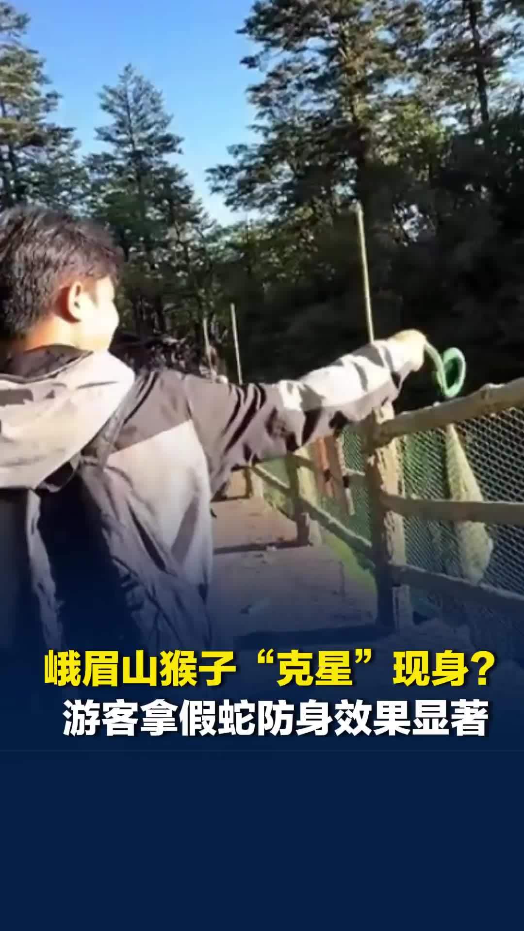 峨眉山猴子“克星”现身？游客拿假蛇防身效果显著，景区：猴子对蛇有条件反射