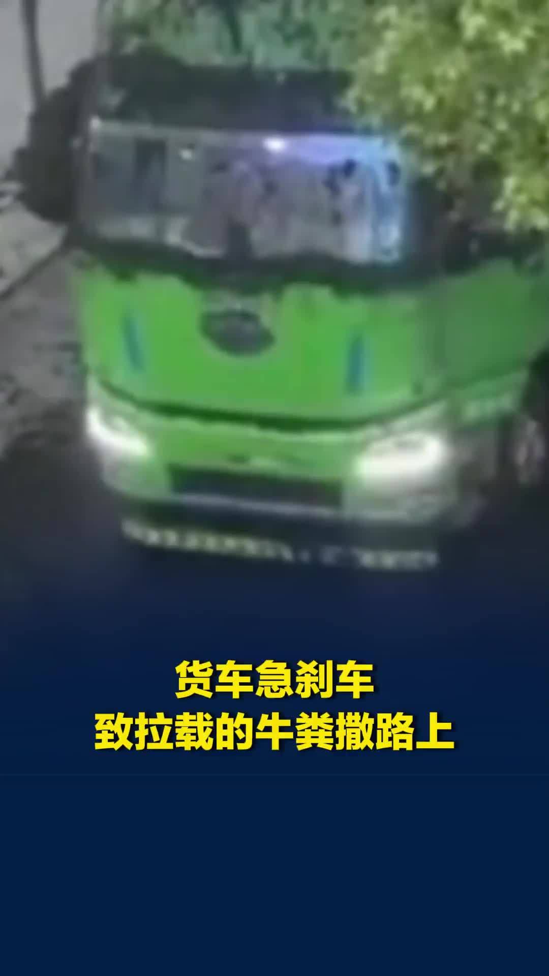 货车急刹车致拉载的牛粪撒路上，附近商户被臭到关门停业，当地镇政府回应
