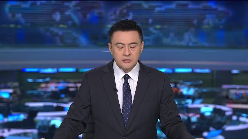 王毅会见欧洲议会外事委员会代表团