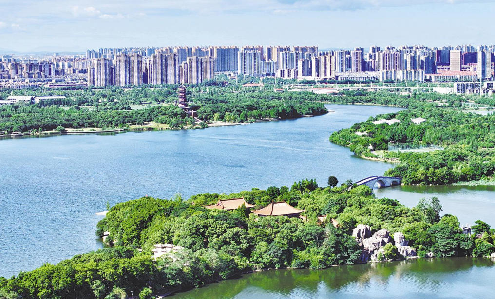 南昌：湿地公园 夏日盛景（图）