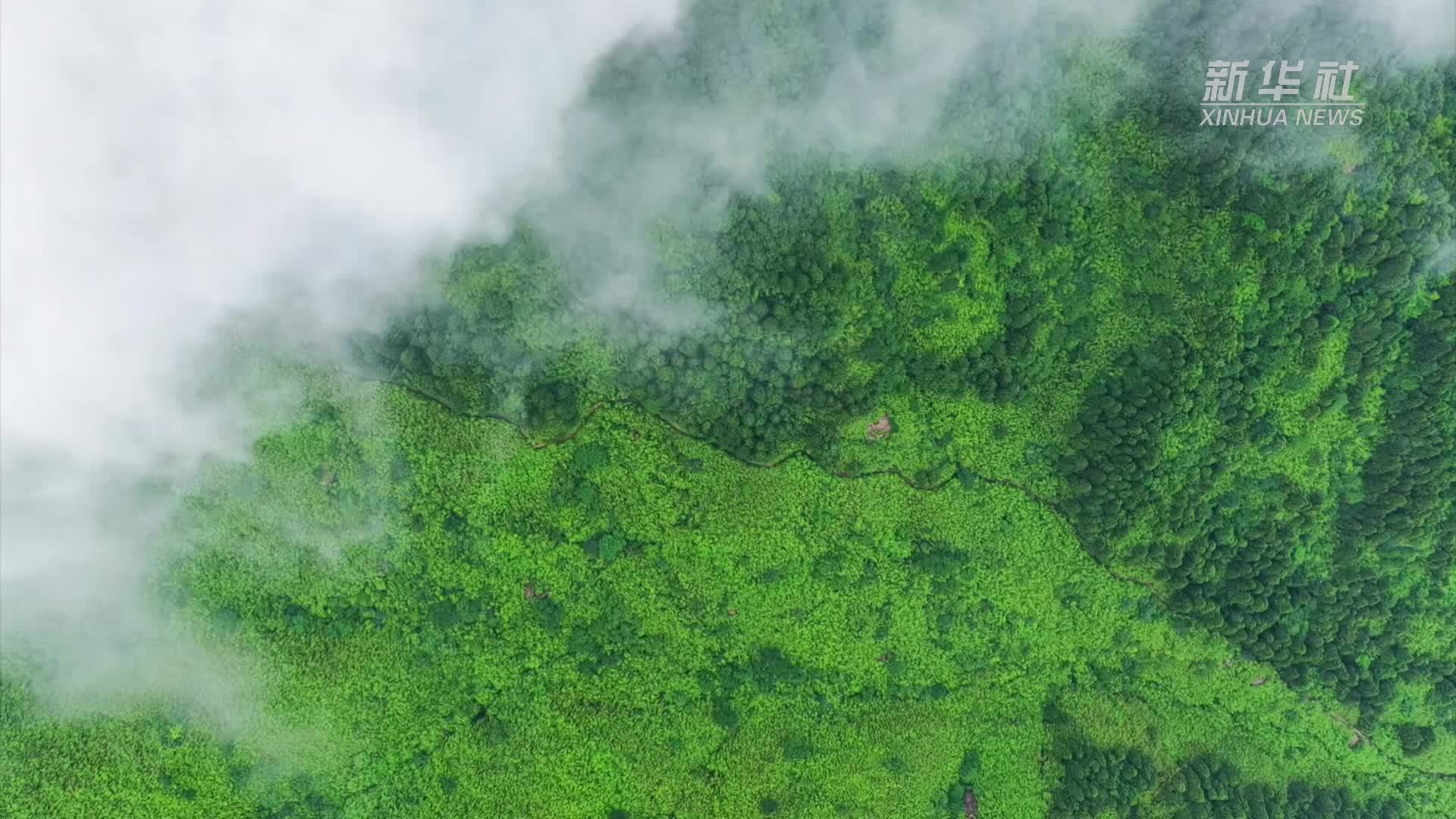 瞰中国｜湖南：赴南岳衡山 享夏日清凉