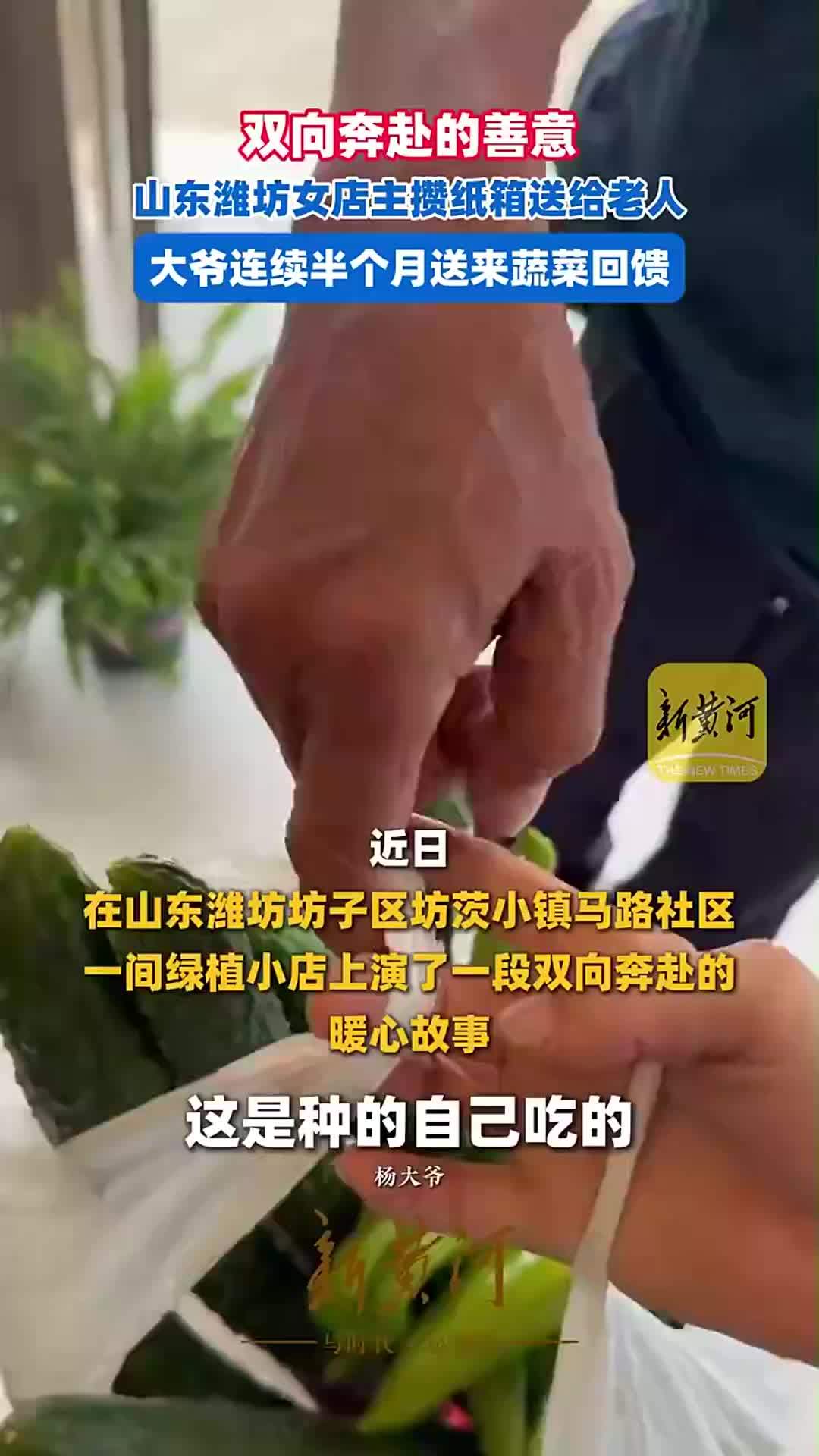 双向奔赴的善意：山东潍坊女店主攒纸箱送给老人，大爷连续半个月送来蔬菜回馈