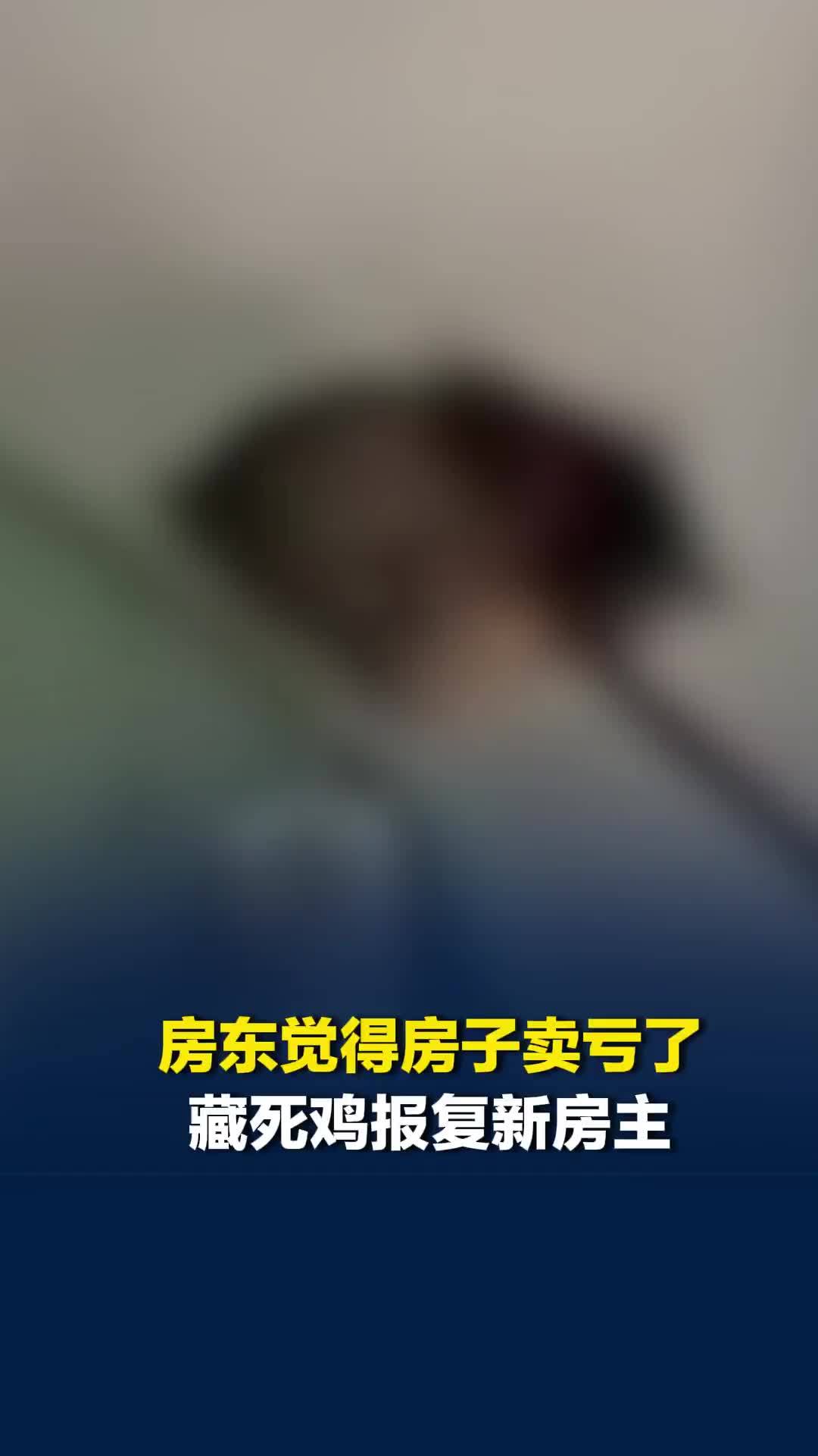 房东觉得房子卖亏了藏死鸡报复新房主，中介：觉得亏了可以不卖，挺不理解的