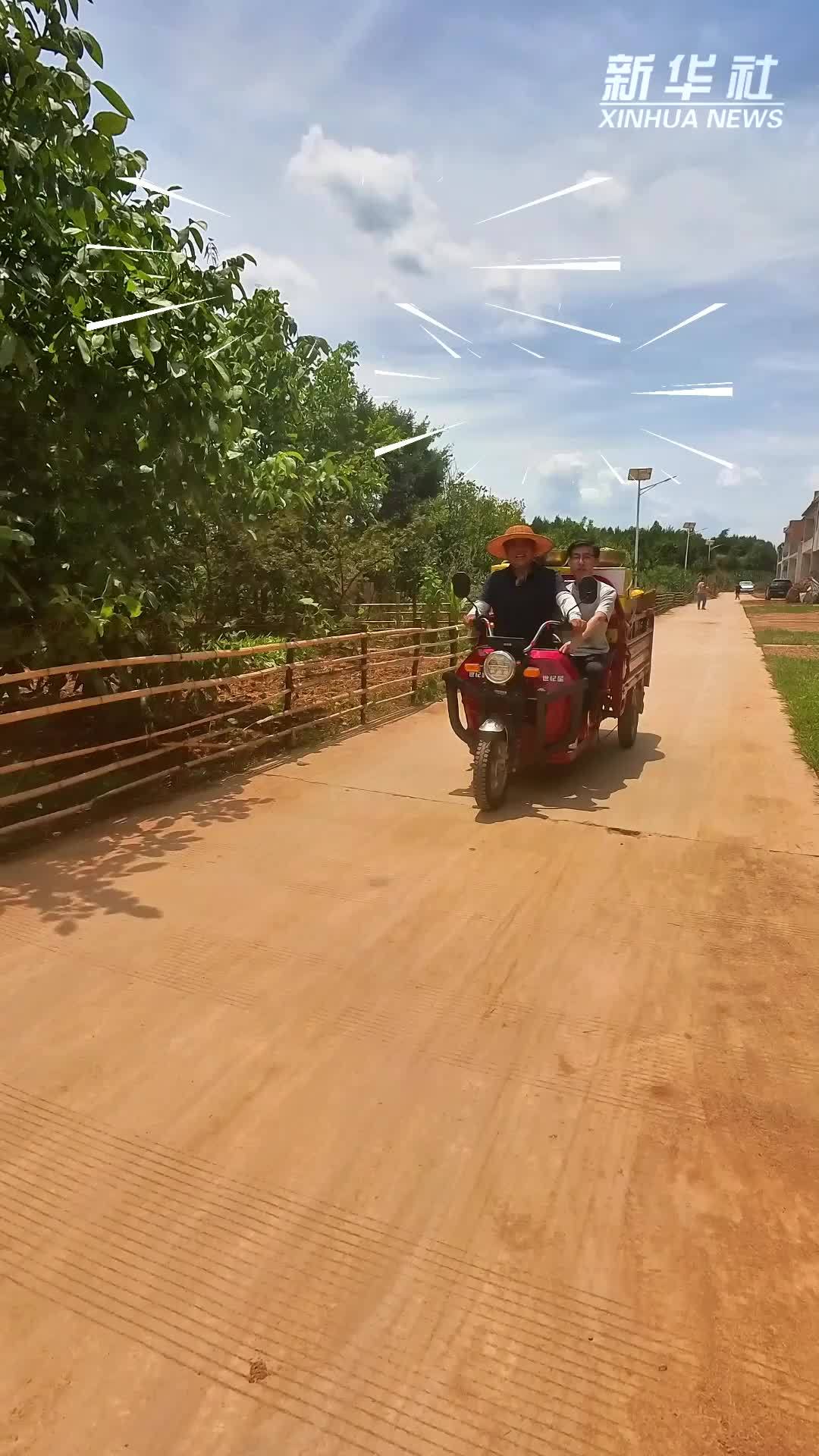 函博Vlog丨我跟书记去送饭
