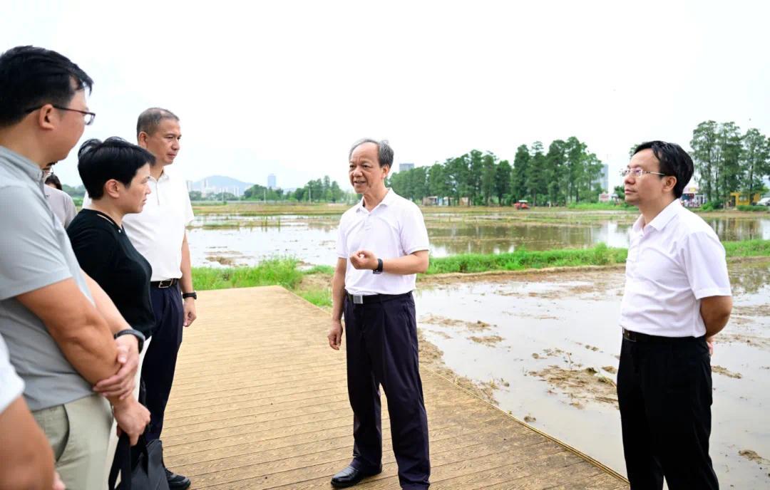 中山市委书记郭文海到南朗调研:管好“三资”,建好良田