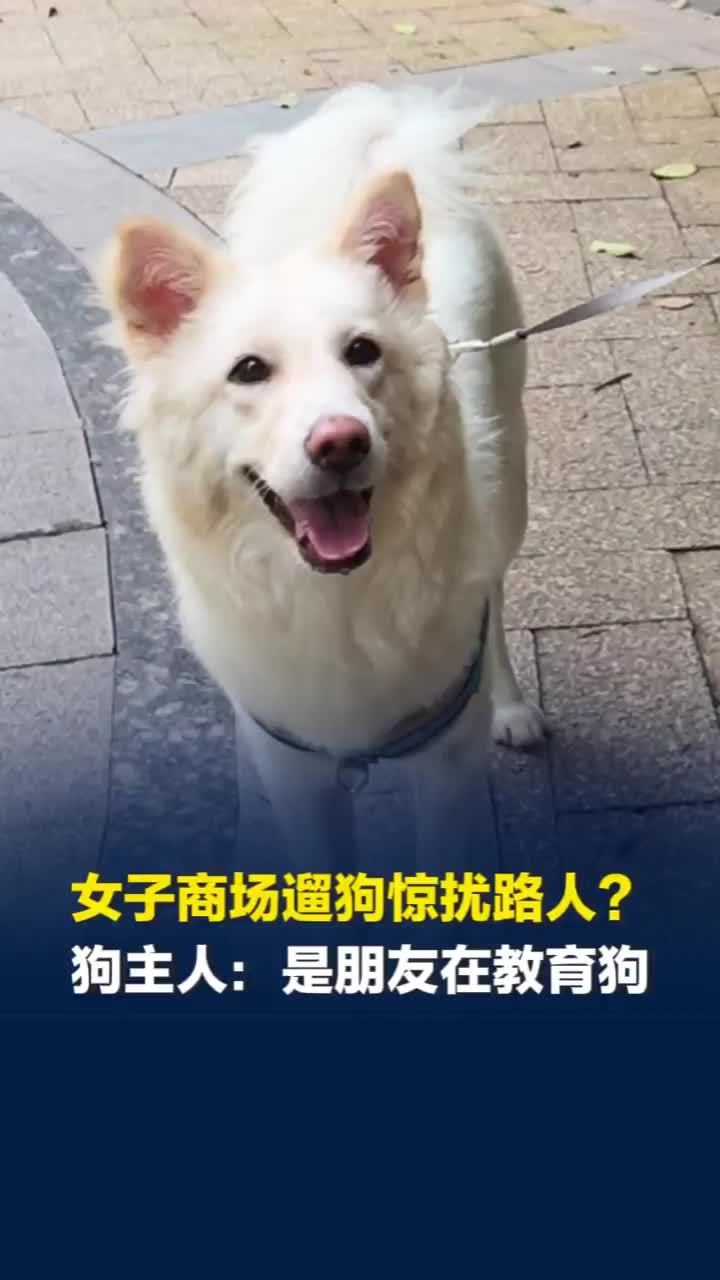 女子商场遛狗惊扰路人？狗主人澄清网络传言：朋友是“抓狗来闻屎”教育它