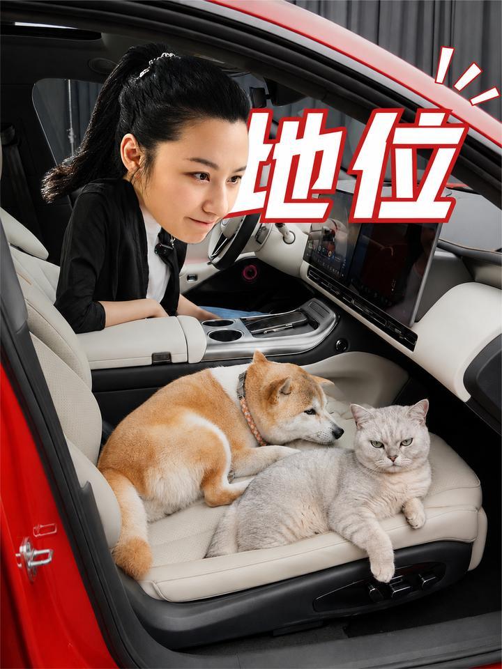 你家宠物上车坐哪？