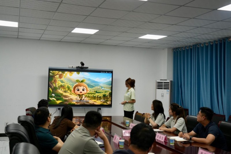 图5 实践团向广济镇镇领导汇报农产品包装设计方案