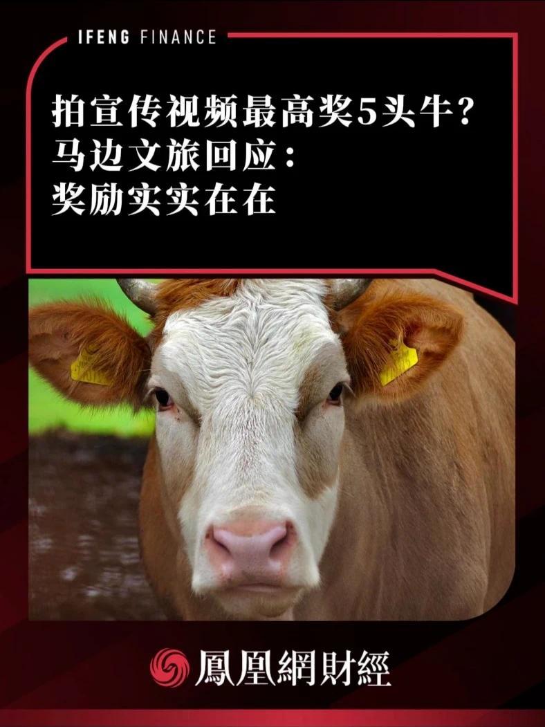 拍宣传视频最高奖5头牛？马边文旅回应：奖励实实在在