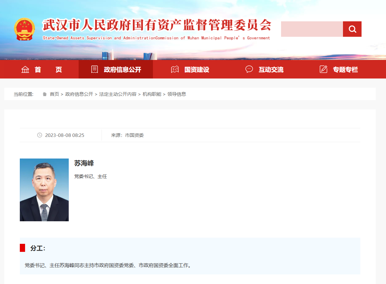 苏海峰已任武汉市政府国资委党委书记、主任