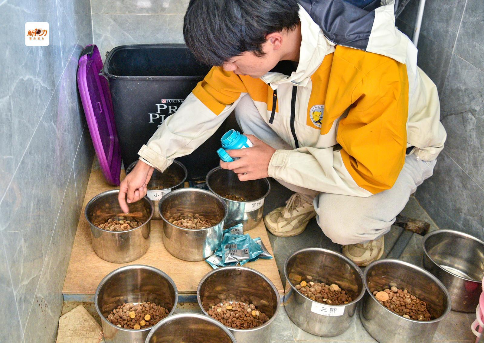 训导员按照配比定制犬粮,为导盲犬筑牢健康根基。