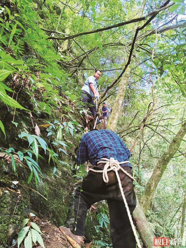 救援队员以绳索牵引护送伤者下山 通讯员供图