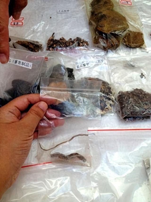喝的中药泰半是伪物！药材全链条作秀，千年中医被我方东谈主烧毁