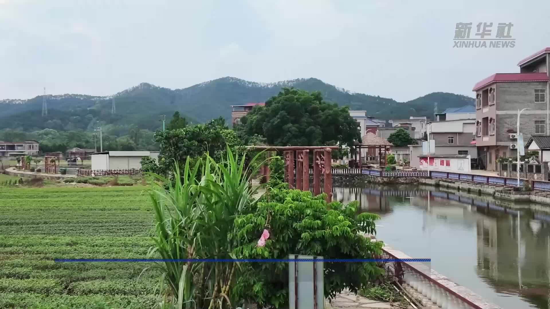 洪后护花香 帮扶促复产