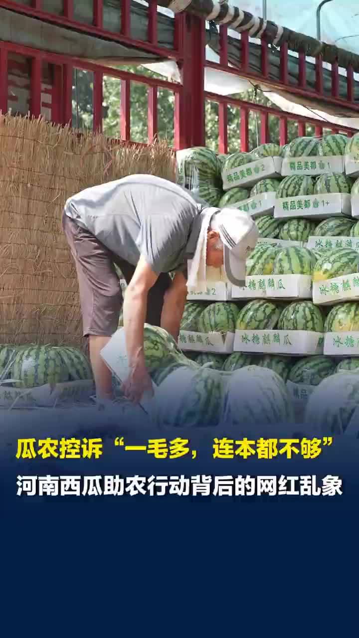 揭秘河南西瓜助农背后网红乱象，打着助农旗号，河南瓜农控诉有网红博流量低价收瓜