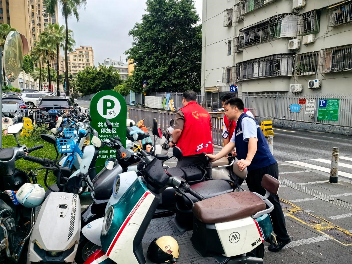 疏堵结合还路于民 小护栏守护“大民生”——西乡街道流塘社区开展地铁口非机动车违停专项整治行动