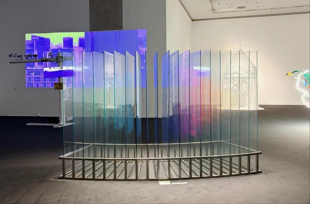 曾曦,《视网膜·彩虹》,2025,广州美术学院