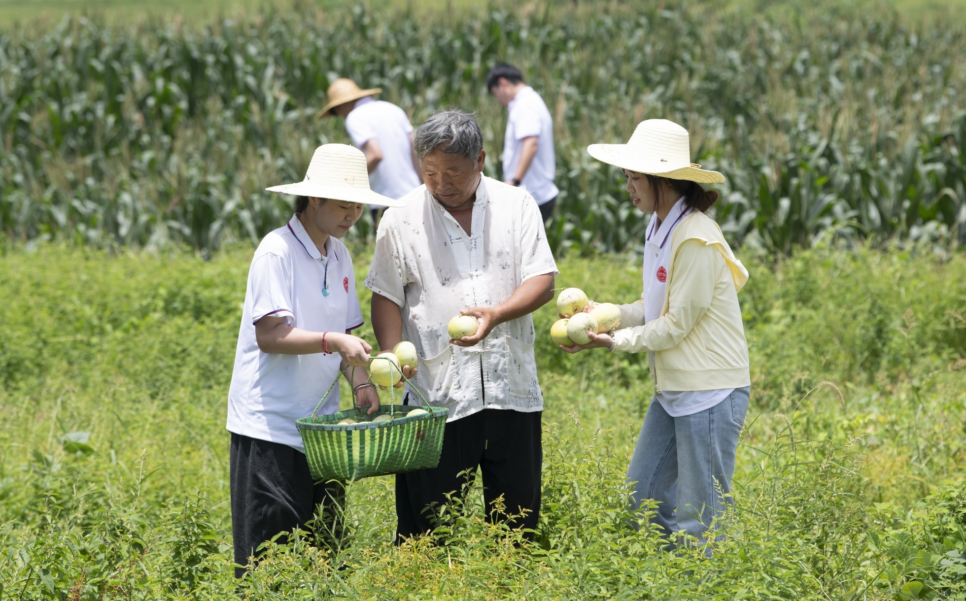 新余学院暑期实践团走进红山村，青春力量助力乡村振兴