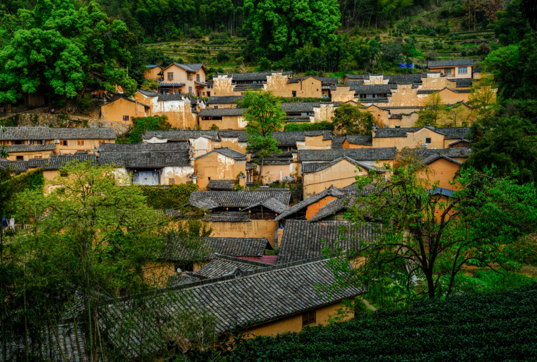 松阳县三都乡杨家堂村 松阳县委宣传部供图.PNG