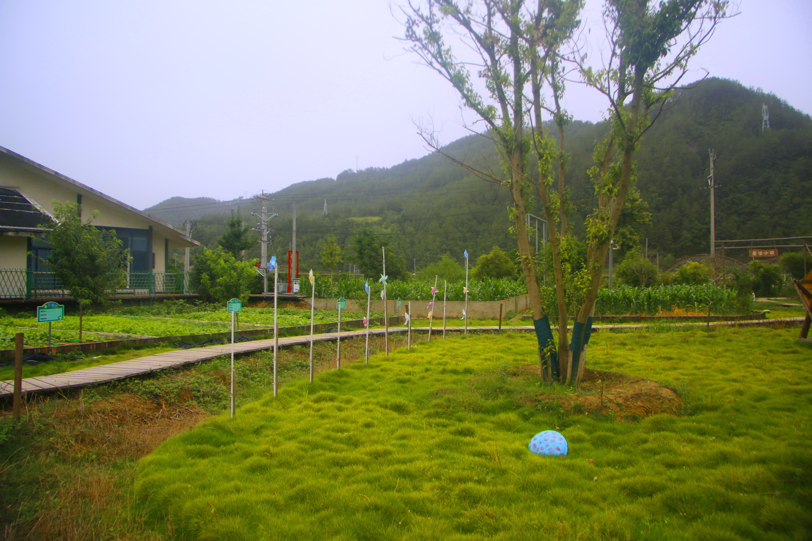 _MG_6367.JPG
