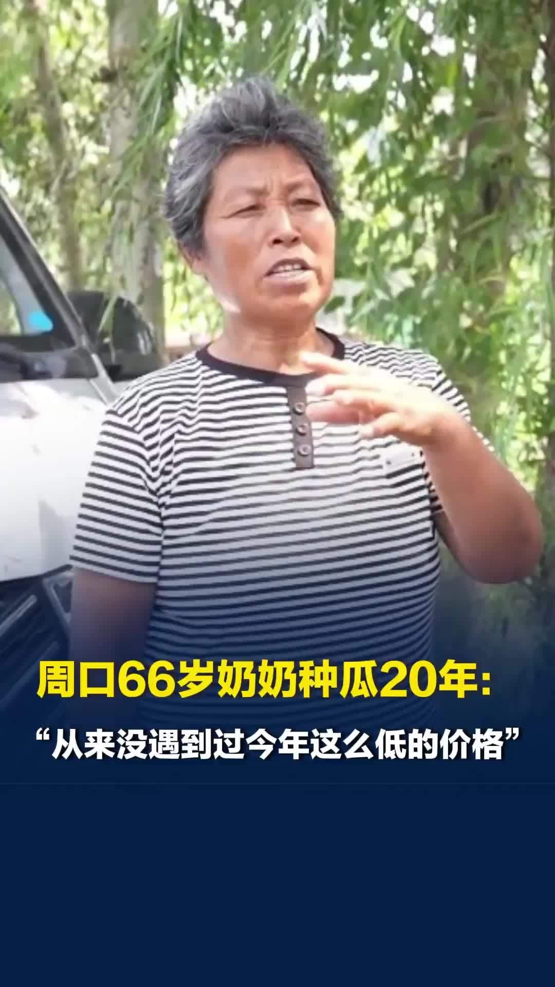 记者实访河南瓜农，周口66岁奶奶种瓜20年：“从来没遇到过今年这么低的价格”